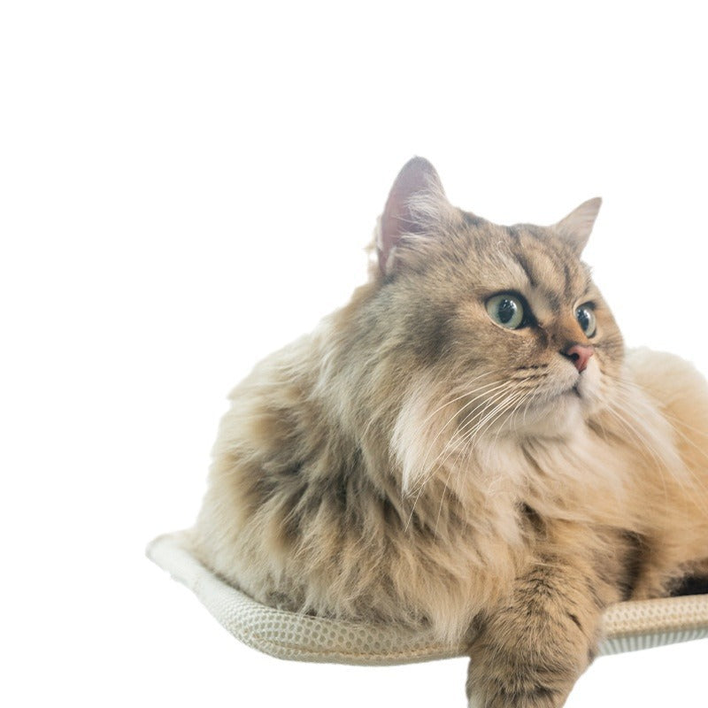 Raamhangmat voor Katten | Ruimtebesparend & Veilig